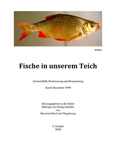 Fische im Bernhardsthaler Teich