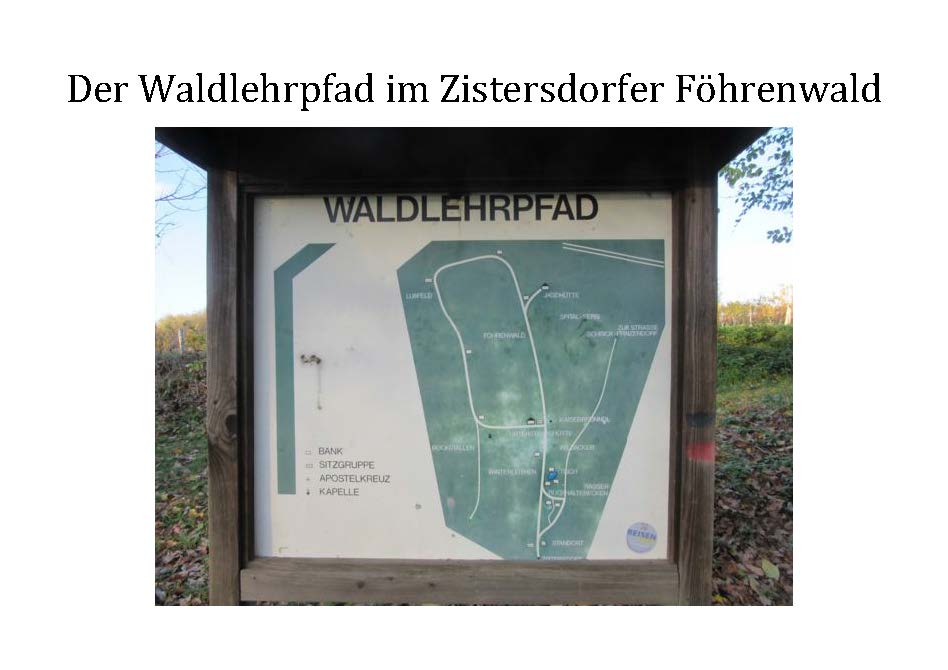 Waldlehrpfad Zistersdorf
