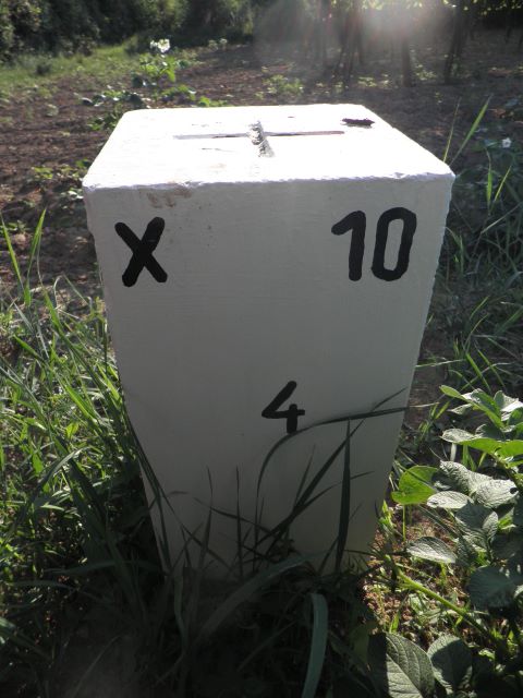 Nebenstein X10 4