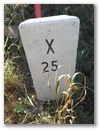 Hauptstein X25