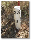 Nebenstein X25 3