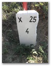 Nebenstein X25 4