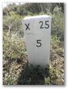 Nebenstein X25 5