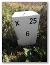 Nebenstein X25 6