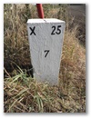 Nebenstein X25 7