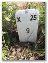 Nebenstein X25 9