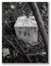 Polygonstein P 84