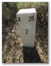 Nebenstein X26 2