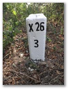 Nebenstein X26 3