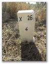 Nebenstein X26 4