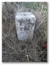 Polygonstein P 85