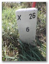 Nebenstein X26 6