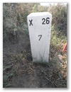 Nebenstein X26 7