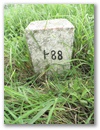 Polygonstein P 88