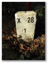 Nebenstein X28 1