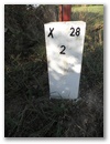 Nebenstein X28 2