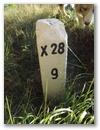 Nebenstein X28 9
