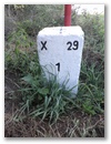 Nebenstein X29 1