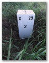 Nebenstein X29 2
