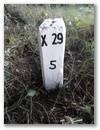 Nebenstein X29 5