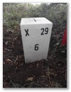 Nebenstein X29 6