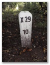 Nebenstein X29 10