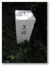 Hauptstein X40