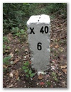 Nebenstein X40 6