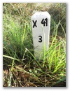 Nebenstein X41 3