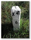 Nebenstein X41 6