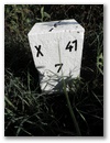 Nebenstein X41 7