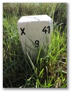 Nebenstein X41 9