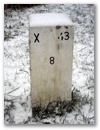 Nebenstein X42 8