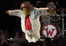 Wombles Live at Glastonbury Festival